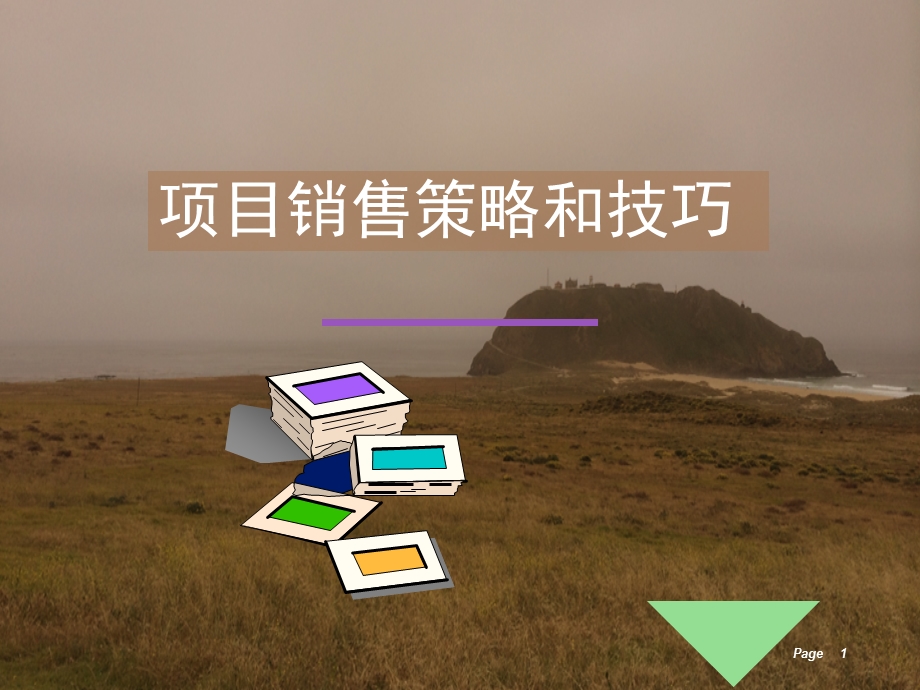 项目销售策略和技巧ppt课件.ppt_第1页