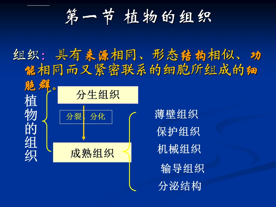 药用植物学(第二章植物物组织)ppt课件.ppt_第2页