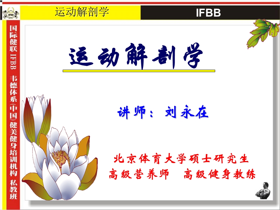 运动解剖学ppt课件.ppt_第2页