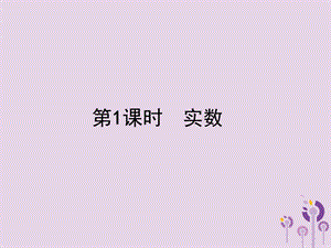 2019届中考数学总复习实数ppt课件全面版.ppt