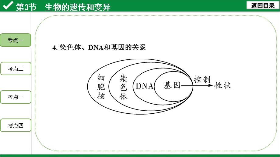 2020年生物中考复习主题6第3节 生物的遗传和变异ppt课件.pptx_第3页