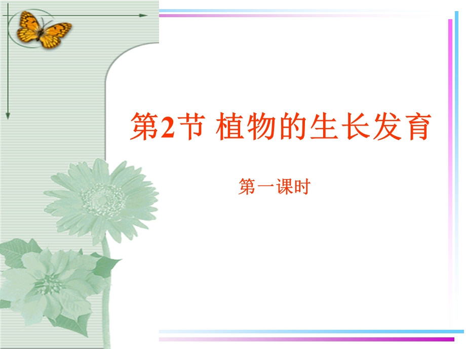 （种子的结构）ppt课件.ppt_第1页