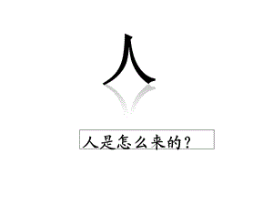 追寻原始先民的足迹(公开课)ppt课件.ppt