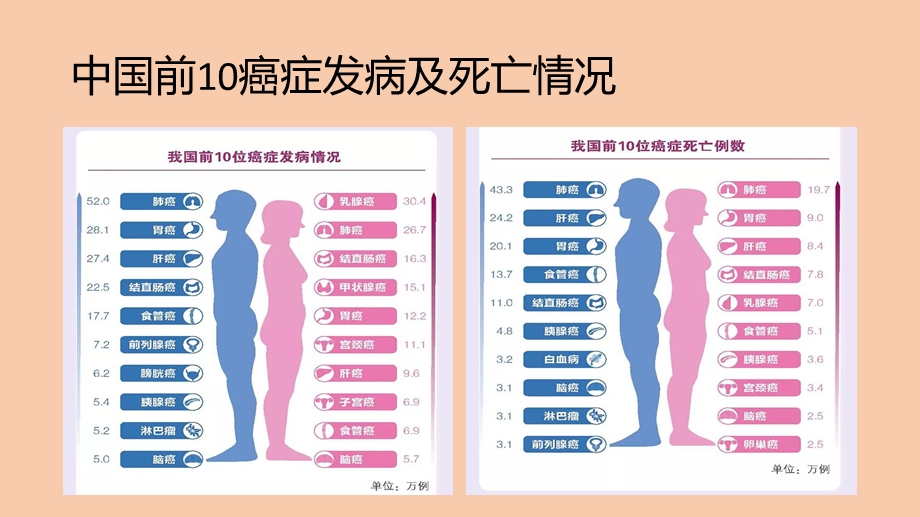 2019年肿瘤流行病学数据ppt课件.pptx_第3页