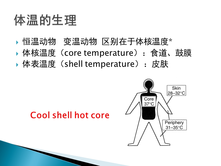 麻醉期间的体温管理ppt课件.ppt_第2页