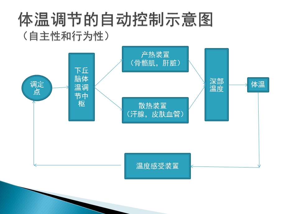 麻醉期间的体温管理ppt课件.ppt_第3页