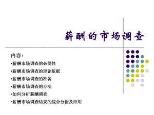 薪酬水平及薪酬调查（理论准备方法和分析）ppt课件.ppt