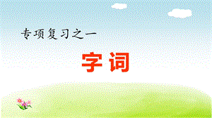 部编人教版六年级语文上册期末专项复习之一字词专项ppt课件.pptx