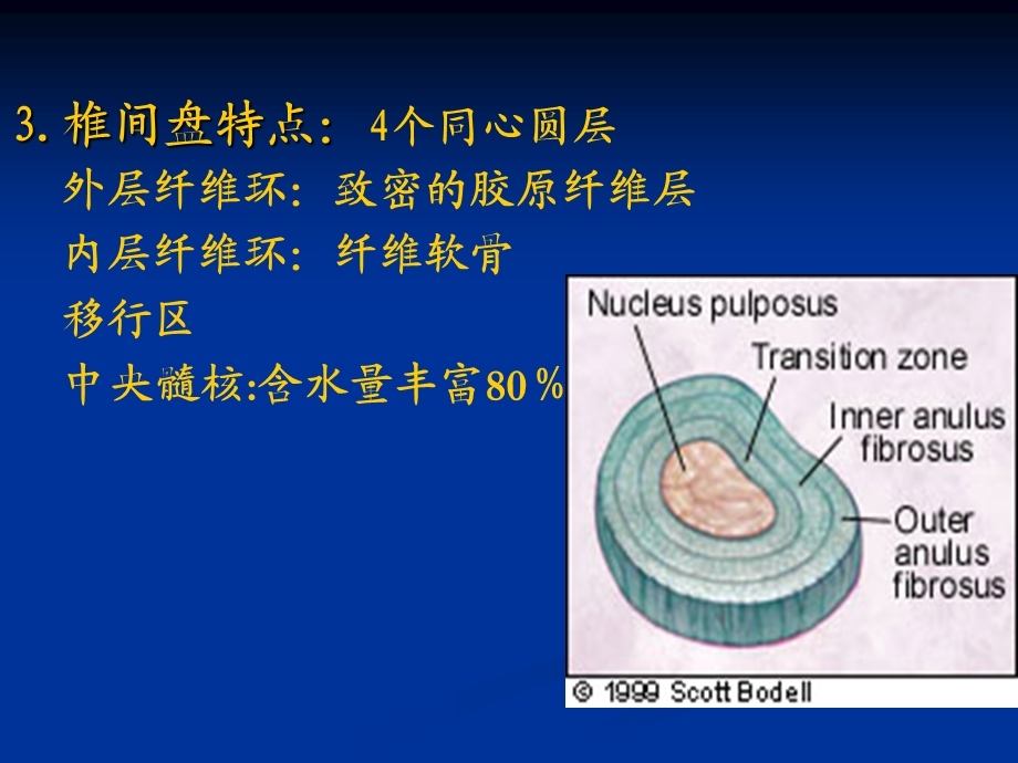 腰椎键盘突出症颈椎病ppt课件.ppt_第2页