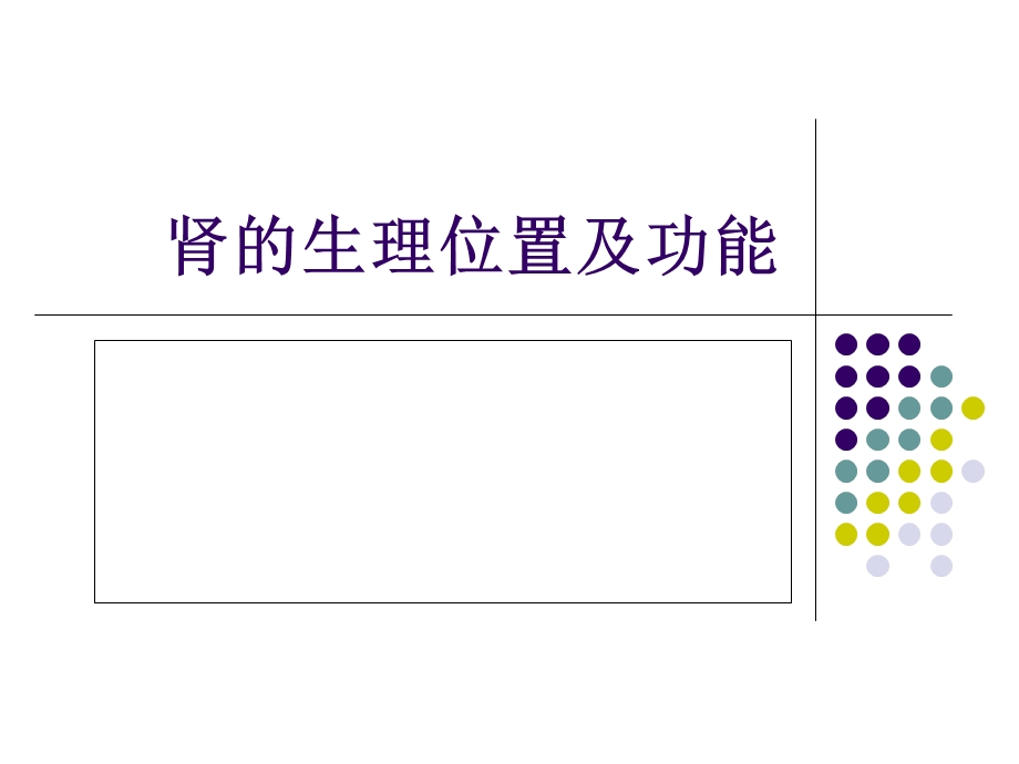 肾的生理位置及功能ppt课件.ppt_第1页