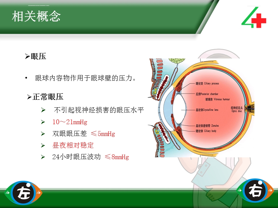 非接触式眼压测量操作流程参考ppt课件.ppt_第2页