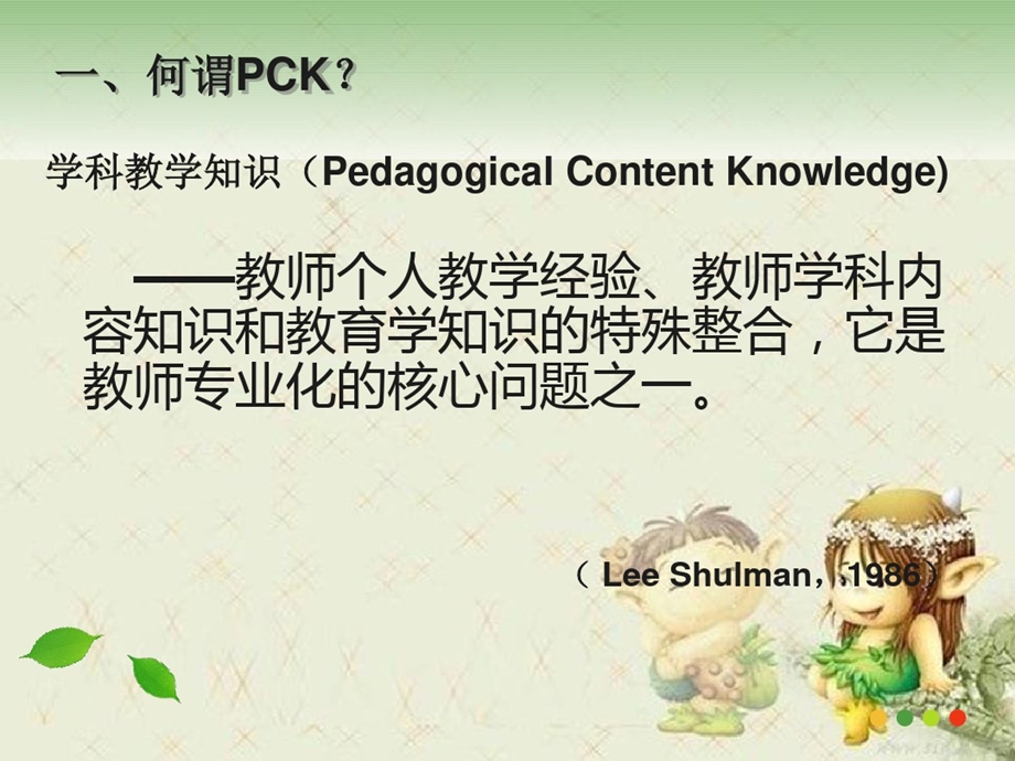 领域教学知识（PCK）与幼儿园教师专业成长ppt课件.ppt_第3页