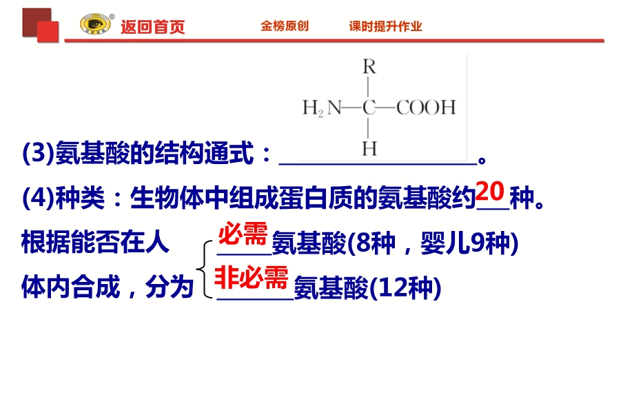 高三生物一轮复习蛋白质ppt课件.ppt_第2页