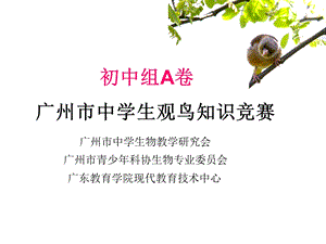 鸟类知识竞赛ppt课件.ppt