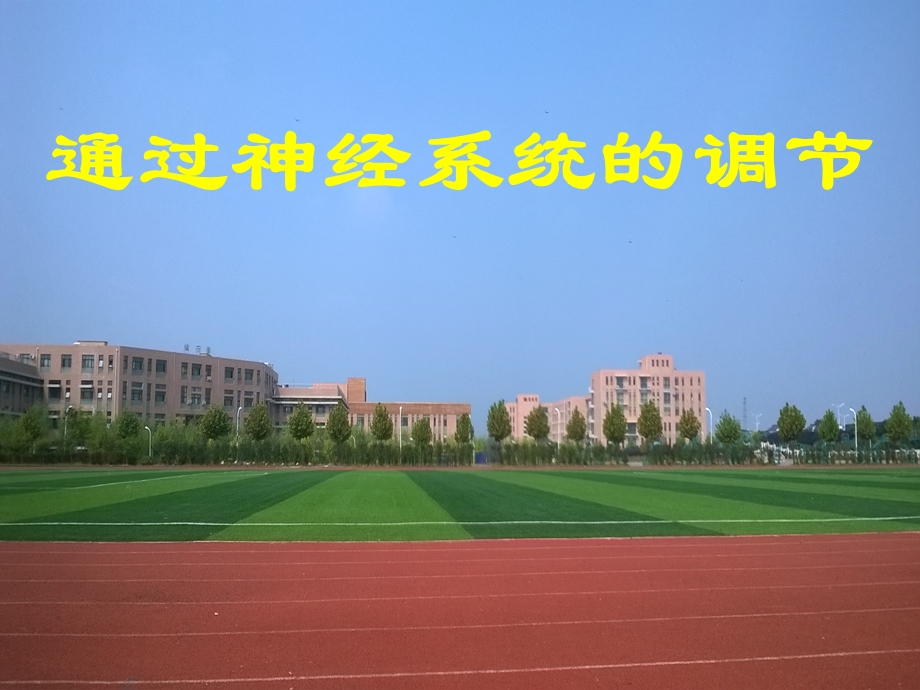 高三一轮复习课通过神经系统的调节ppt课件.ppt_第1页