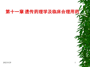 遗传药理学与临床合理用药ppt课件.ppt