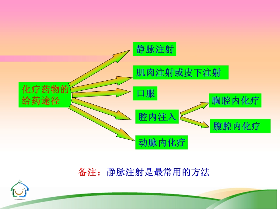 肿瘤化疗病人的护理ppt课件.ppt_第3页