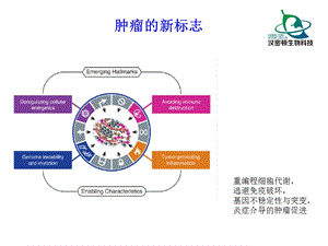 肿瘤免疫细胞治疗ppt课件.ppt