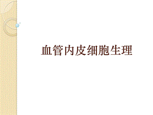 血管内皮细胞生理ppt课件.ppt