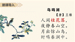 部编版五年级上册桂花雨PPT课件完美.pptx