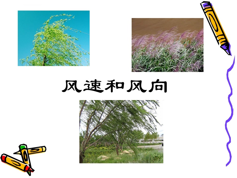 风向和风速ppt课件.ppt_第2页