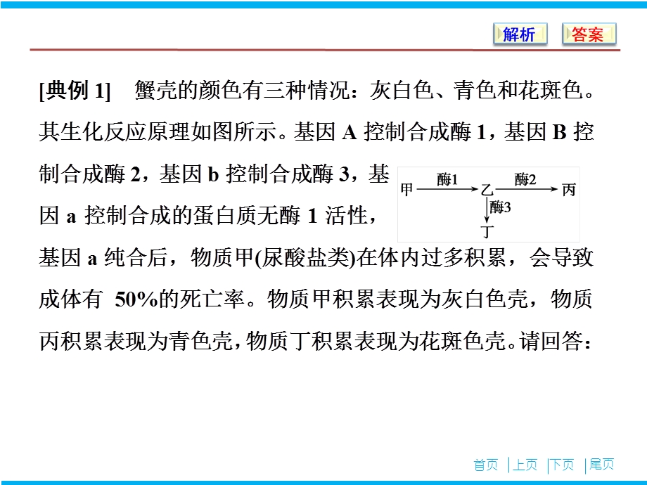 第五单元微专题五两种方法破解遗传学难题ppt课件.ppt_第3页