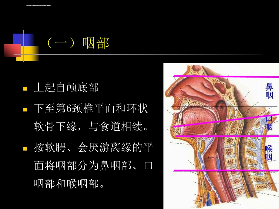 鼻咽部的CT解剖汇总讲义ppt课件.ppt_第2页