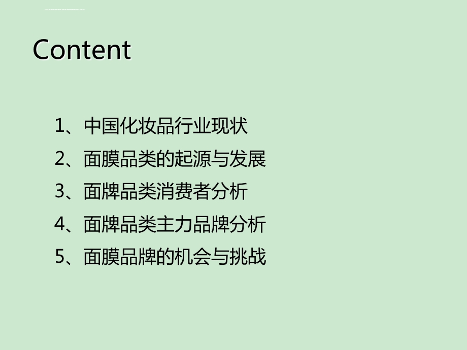 面膜商业计划书ppt课件.ppt_第2页