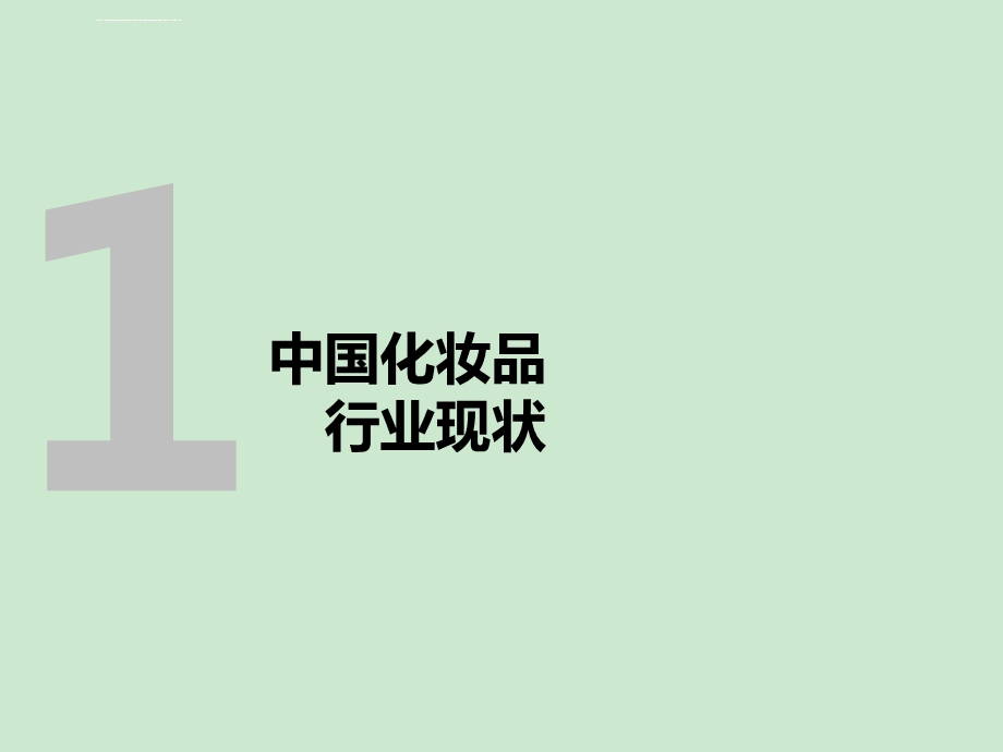 面膜商业计划书ppt课件.ppt_第3页