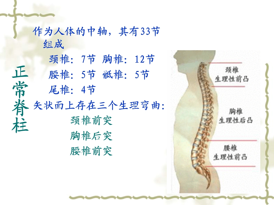 脊柱侧弯病人的护理ppt课件.ppt_第3页