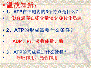 高一生物ATP的主要来源细胞呼吸ppt课件.ppt