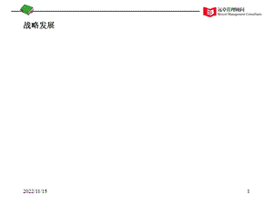 2019 某知名咨询公司战略分析框架ppt课件.ppt