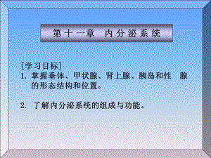 解剖学基础第十一章内分泌系统ppt课件.ppt
