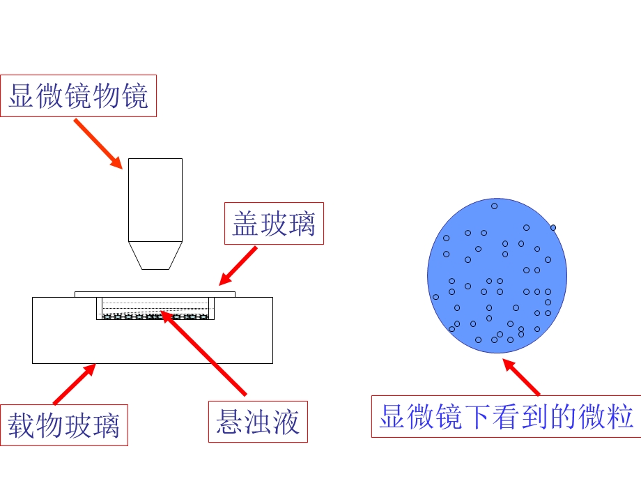 高一物理布朗运动ppt课件.ppt_第3页