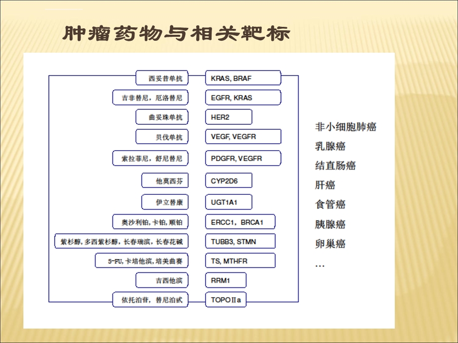 肿瘤分子诊断ppt课件.ppt_第3页