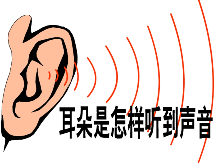 耳的结构与听觉的形成ppt课件.ppt_第1页