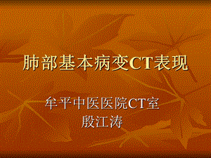 肺部基本病变CT表现ppt课件.ppt