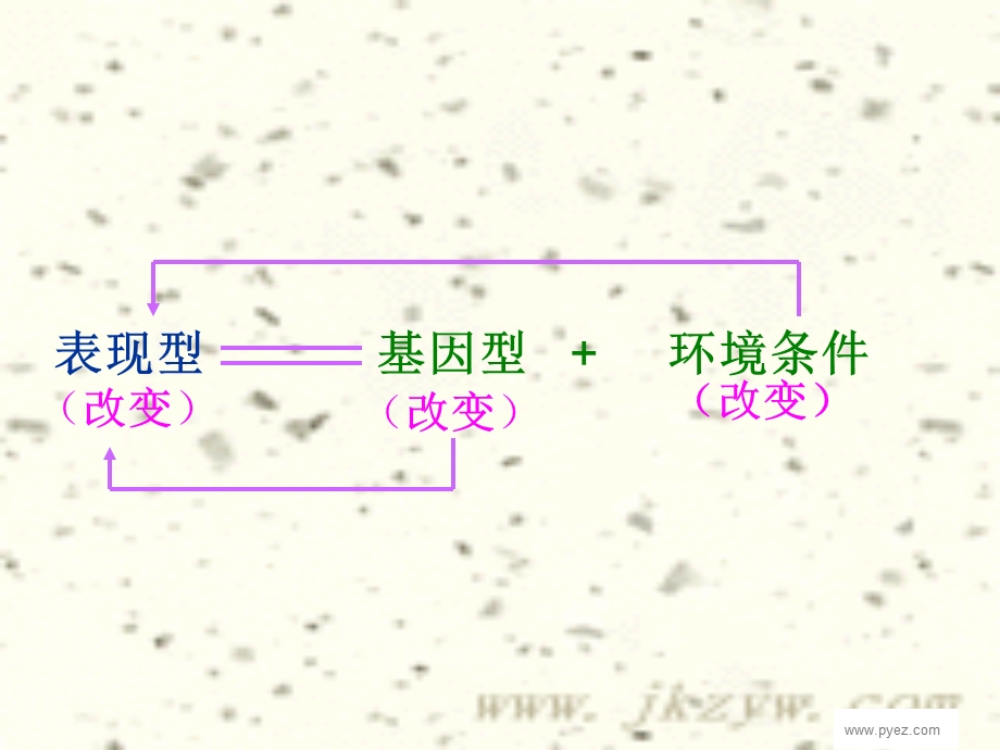 高一生物必修2基因突变和基因重组ppt课件.ppt_第3页