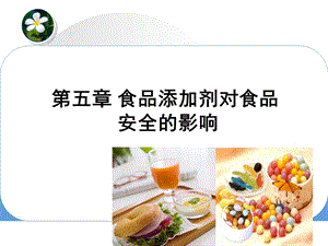 食品添加剂的安全性及控制ppt幻灯片课件.ppt