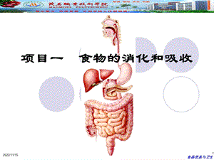 项目1食物的消化和吸收ppt课件.ppt