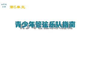 青少年管弦乐队指南ppt课件.ppt