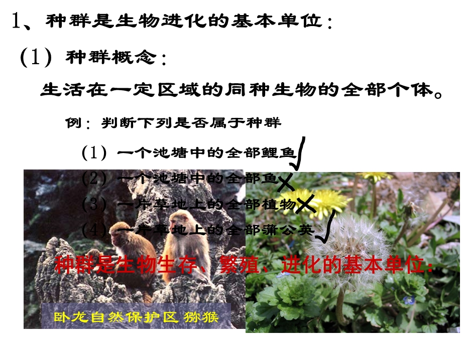 高一生物必修2第七章第二节现代生物进化理论的主要内容ppt课件.ppt_第3页