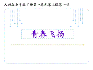 青春飞扬说课ppt课件.ppt