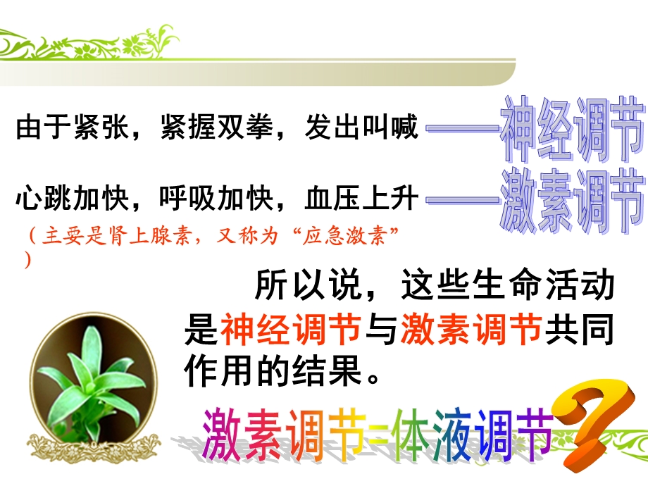 （文科）神经调节与体液调节的关系ppt课件.ppt_第2页