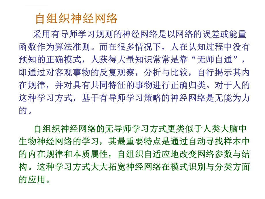 自组织神经网络ppt课件.ppt_第2页