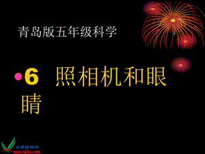 (青岛版)五年级科学下册ppt课件 照相机和眼睛.ppt