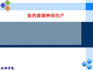 食用菌制种技术ppt课件.ppt