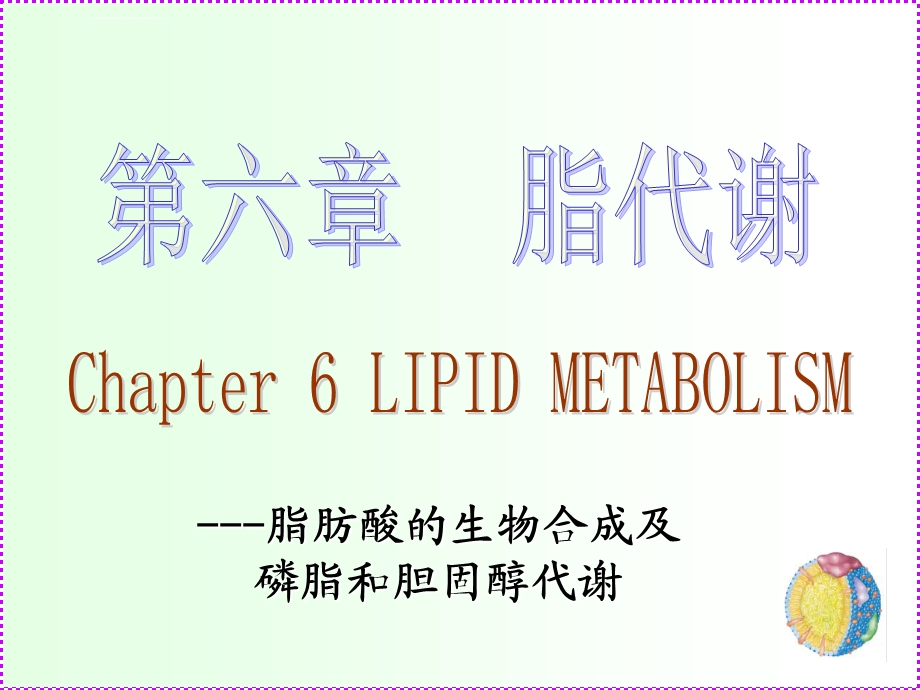 脂肪酸生物合成及ppt课件.ppt_第1页