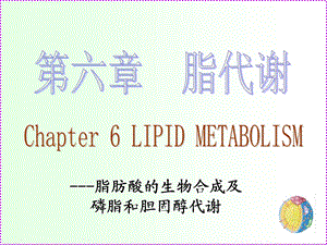 脂肪酸生物合成及ppt课件.ppt