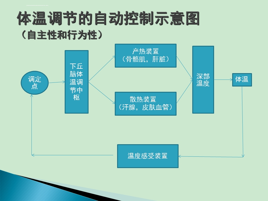 麻醉期间的体温管理(新版)ppt课件.ppt_第3页